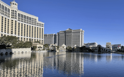 Las Vegas’ Bellagio pauses fountain show when rare bird visits