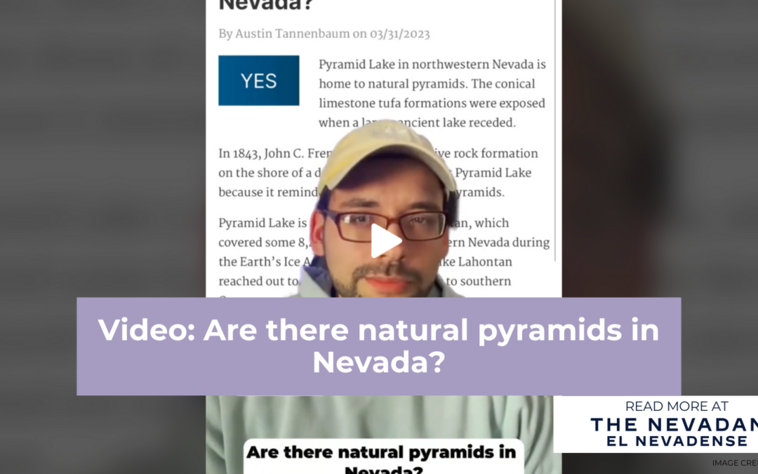 Here’s why car insurance is so expensive in Nevada