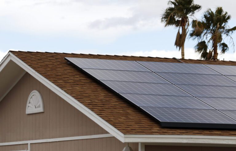 The Nevadan News