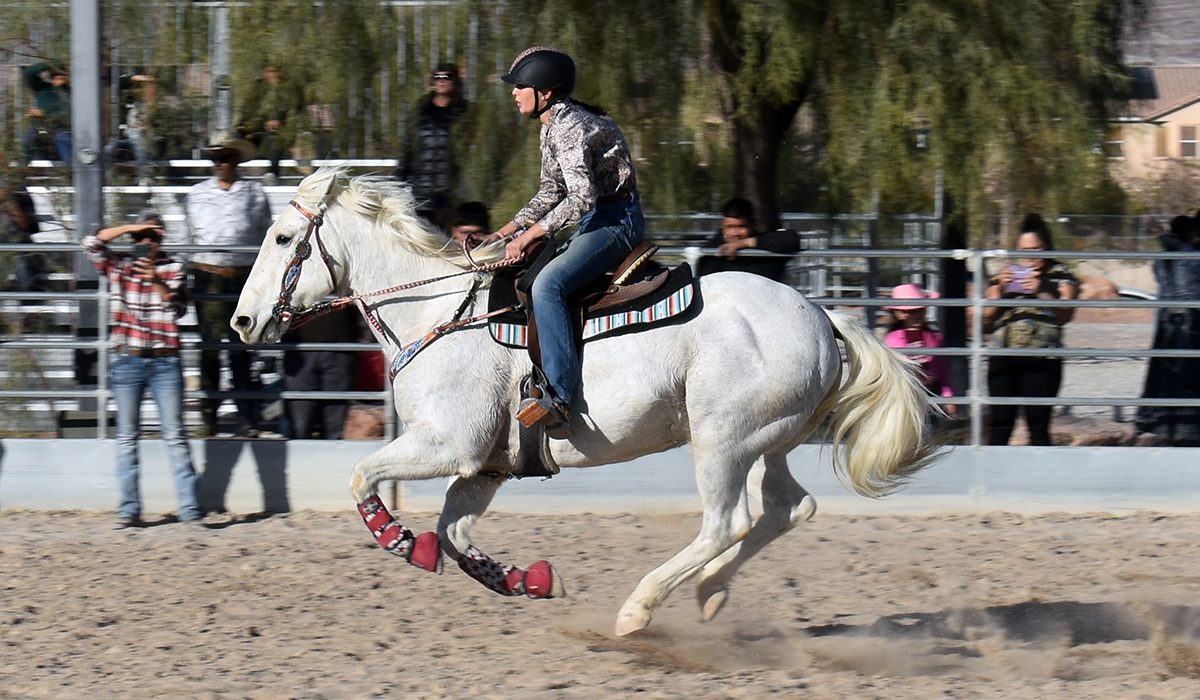 Realizaron cabalgata y posada “Navidad Ecuestre con Colibríes” en el parque Bradley Bridle