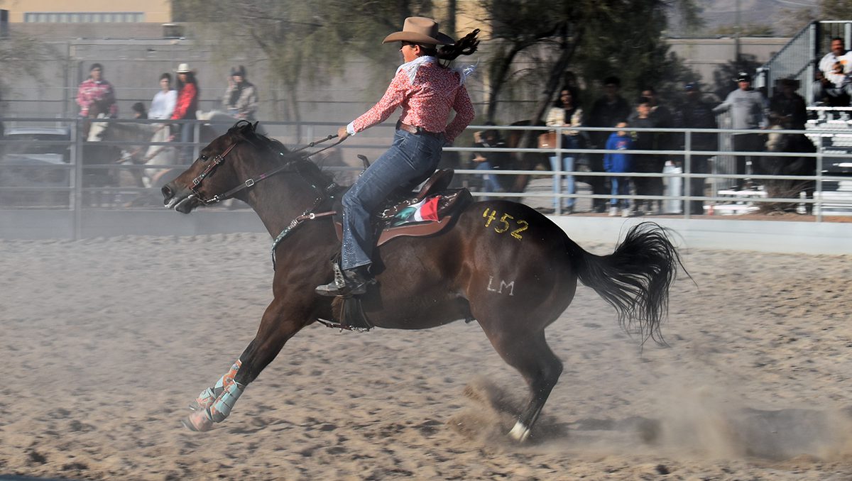 Realizaron cabalgata y posada “Navidad Ecuestre con Colibríes” en el parque Bradley Bridle