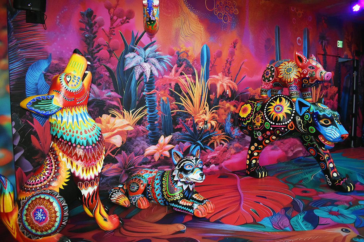 Ofrece “Colors of Mexico” un recorrido a través de la vibrante cultura y tradiciones mexicanas Ofrece “Colors of Mexico” un recorrido a través de la vibrante cultura y tradiciones mexicanas