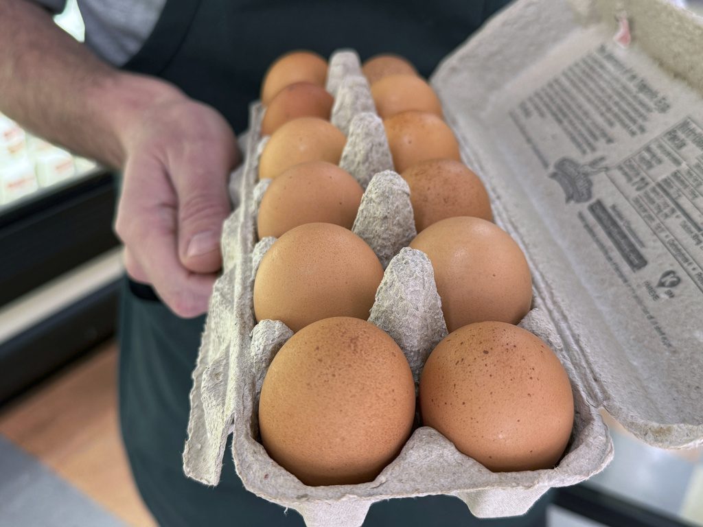 Egg