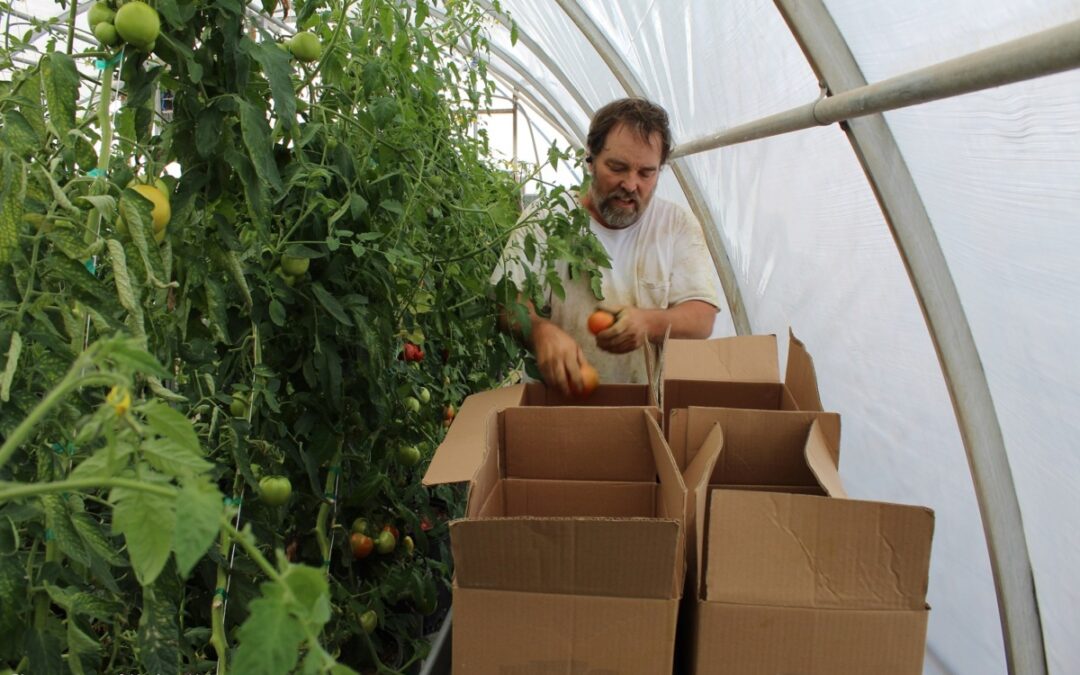 USDA cancels funding for popular locally grown food programs in Nevada