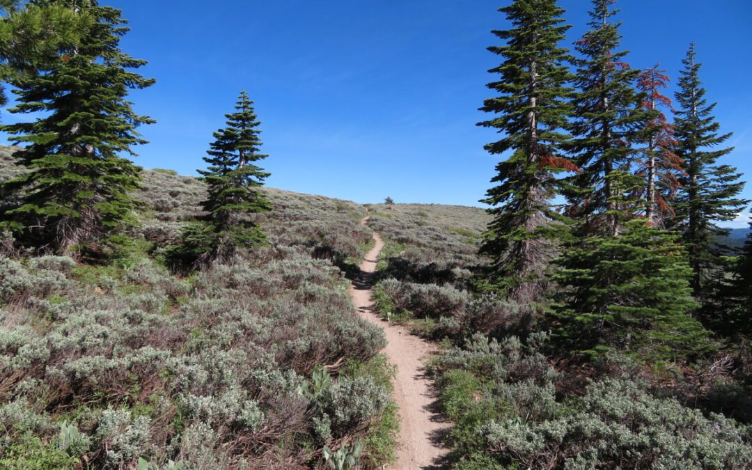 Meet the hikers blazing a new trail on the Carson City to Canada Quest