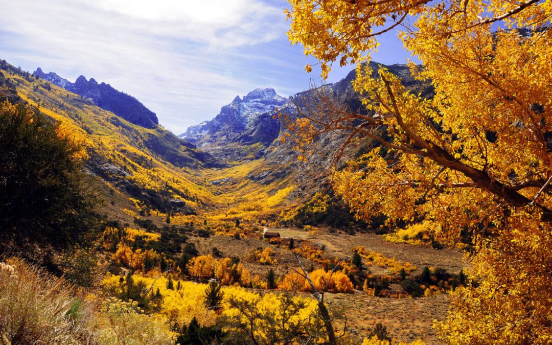 Northern Nevada leaf peeping guide: Where to see fall colors