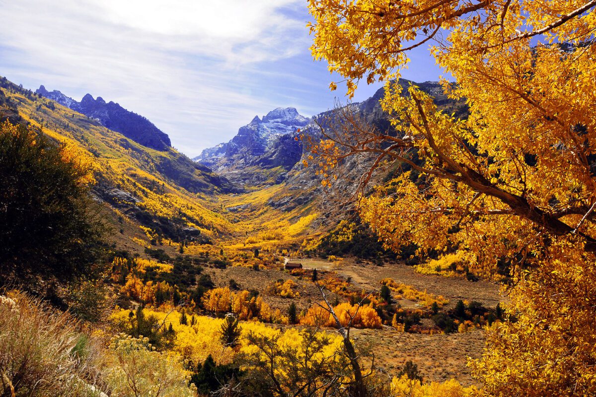 Northern Nevada leaf peeping guide: Where to see fall colors