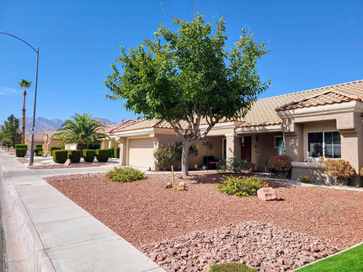 Las Vegas tackles urban heat with free tree distribution program