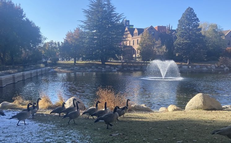 HARDGATE - The Nevadan