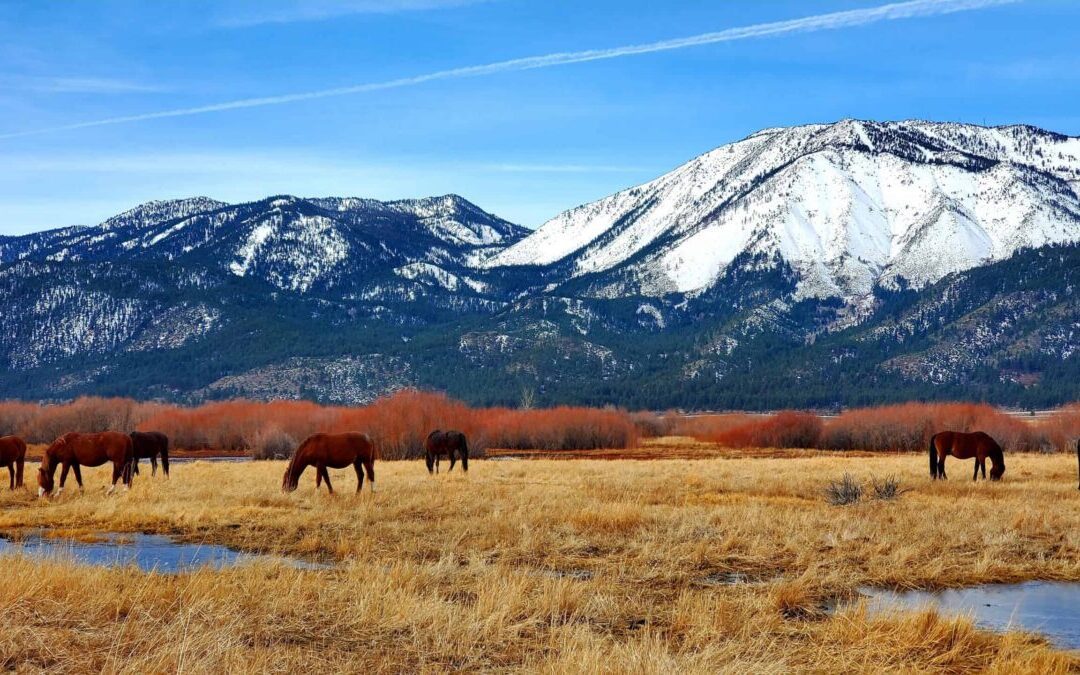 Nevada’s Spanish place names & the stories behind them