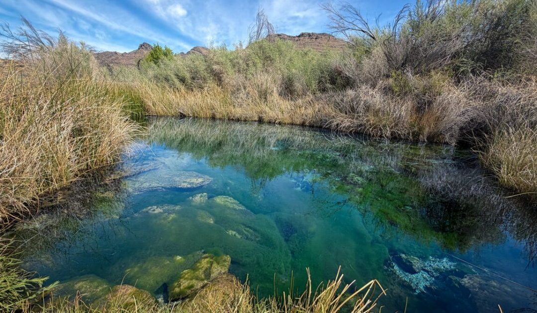 Amargosa named on list of 10 ‘most endangered’ rivers
