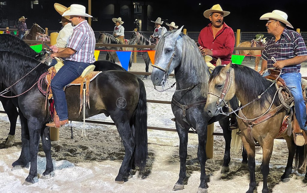 Arroyo Vista, un parque comunitario con temática ecuestre en Las Vegas