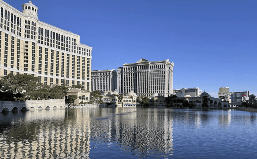 Las Vegas’ Bellagio pauses fountain show when rare bird visits