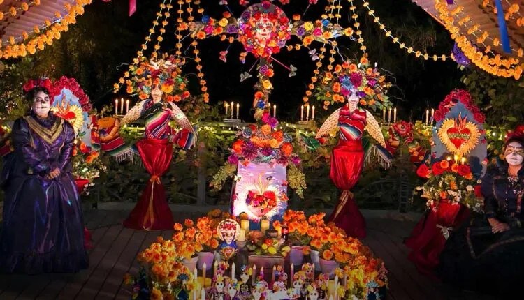 Celebrate Diversity At These 11 Multicultural Festivals In Nevada