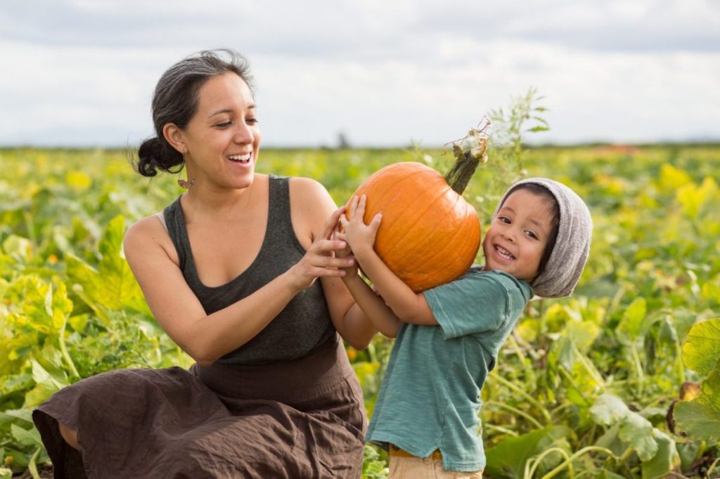 Fall for the 8 best pumpkin patches in Nevada