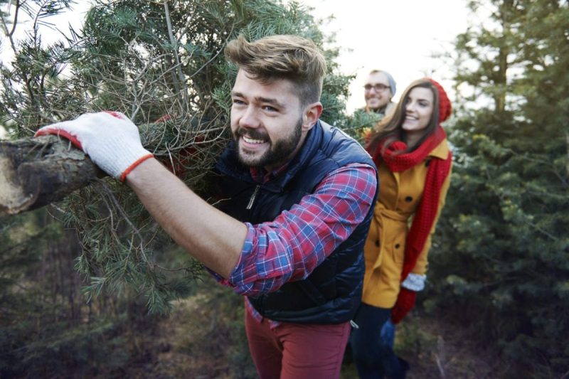 Man carrying a Christmas tree that has just been cut down with people following behind him.
