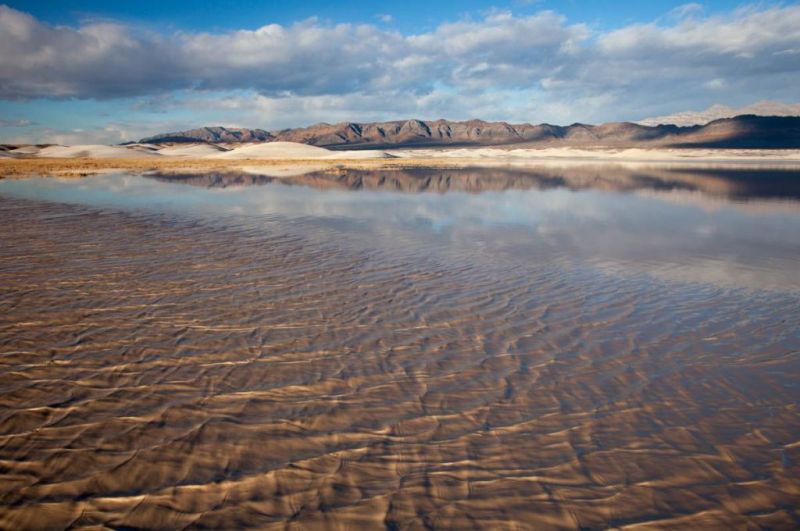 In one of President Biden’s last moves in office, his administration has moved to protect 269,000 acres of public land in Nevada from a proposed lithium mine that opponents said would have jeopardized nearby wildlife and water for local towns and tribes.