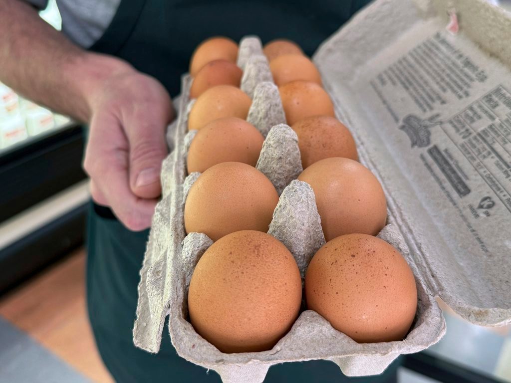 Bill to suspend egg regulations sails through Nevada legislature, awaits Lombardo’s signature