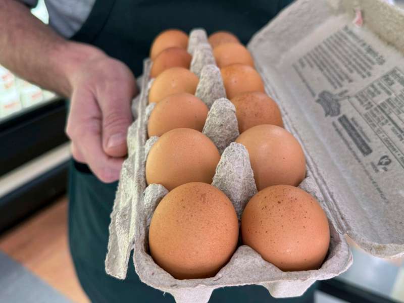 Egg