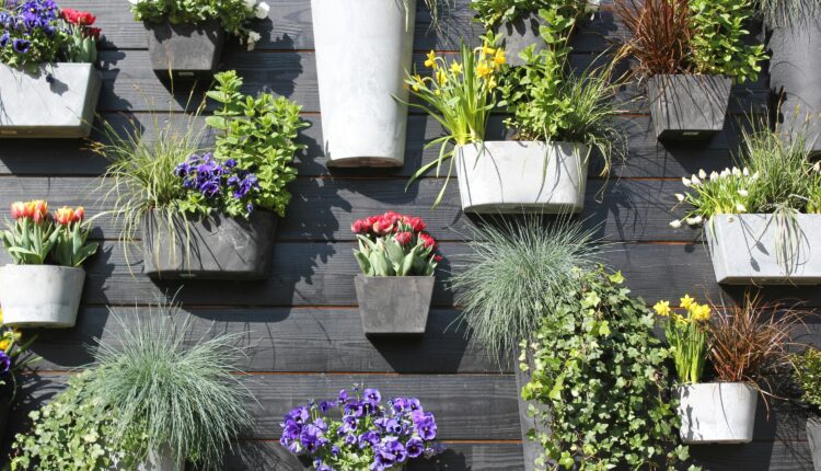 Your guide to container gardening in Nevada