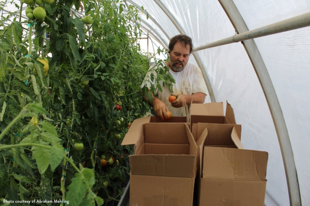USDA cancels funding for popular locally grown food programs in Nevada