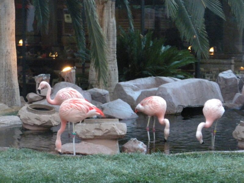 11 free & family-friendly things to do in Las Vegas