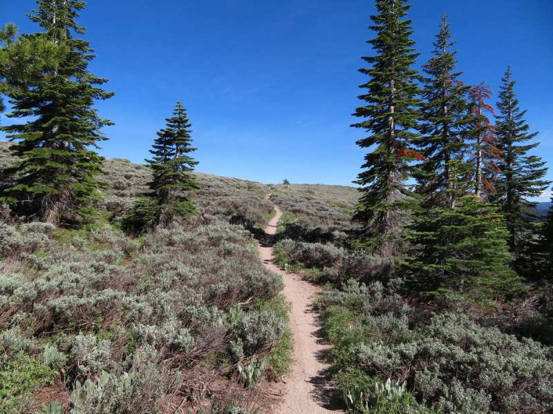 Tahoe Rim Trail