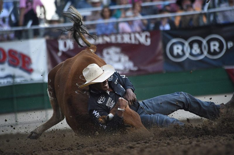 a cowboy at the reno rodeo