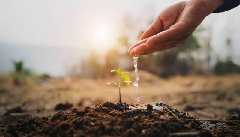 A new report from the U.S. Geological Survey finds that levels of 22 toxic chemicals in groundwater have declined significantly over the past 30 years, but environmental groups say the data is misleading.
