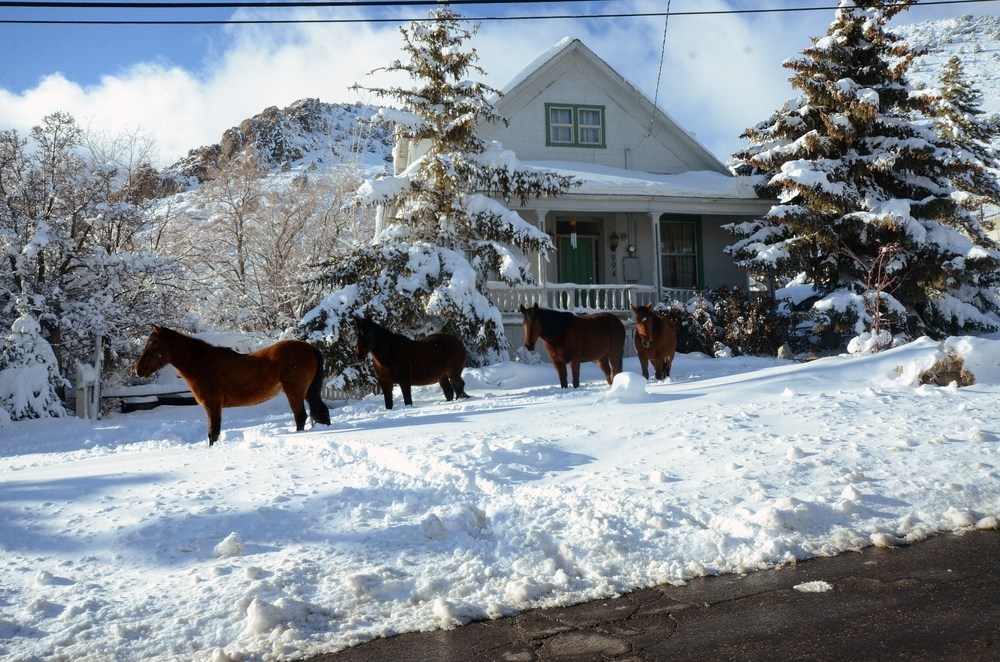 ❄️ Nevada’s most magical and Christmas-y town