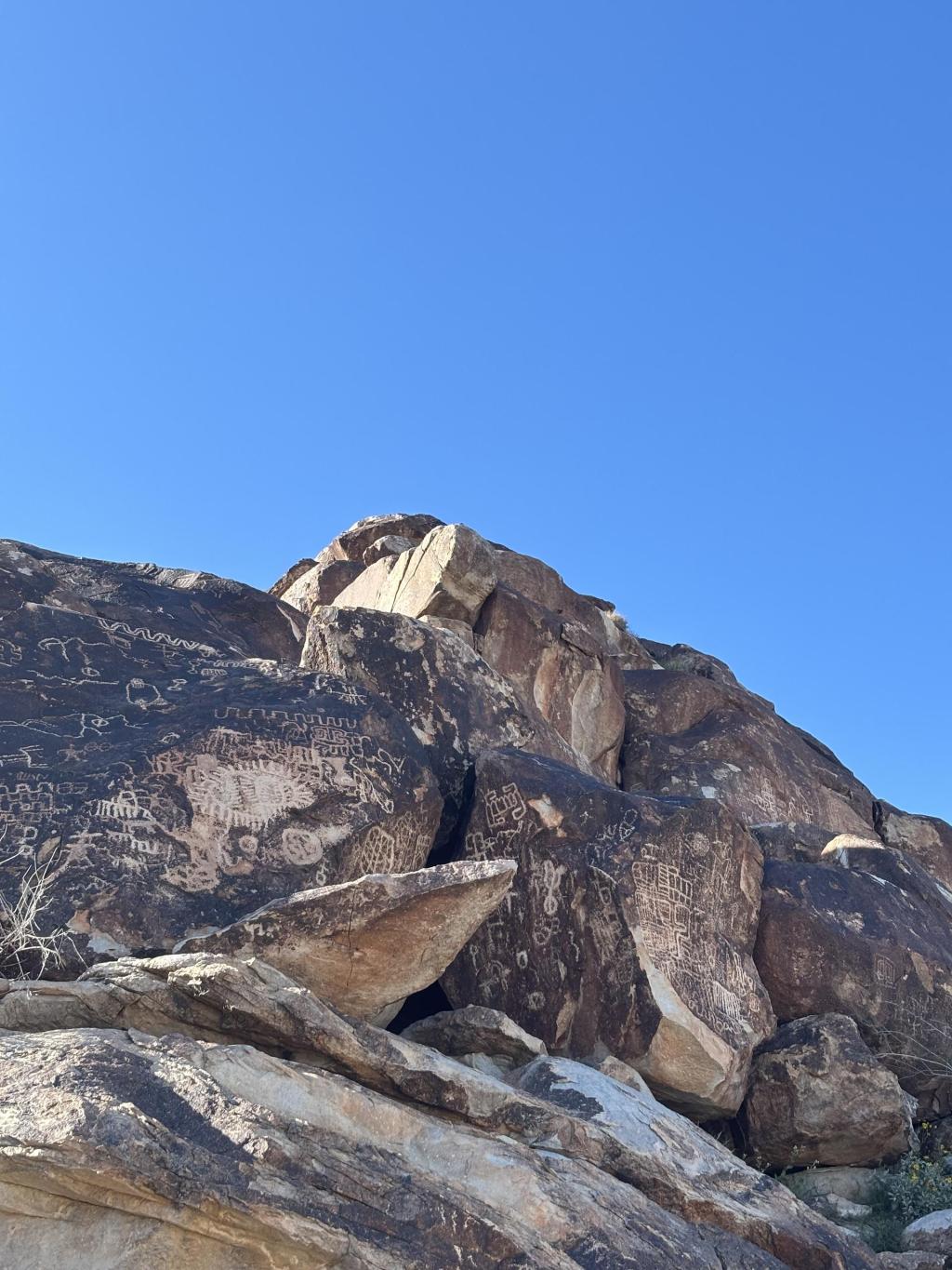 🥾 Hikers beware: Nevada’s venemous rattlesnakes
