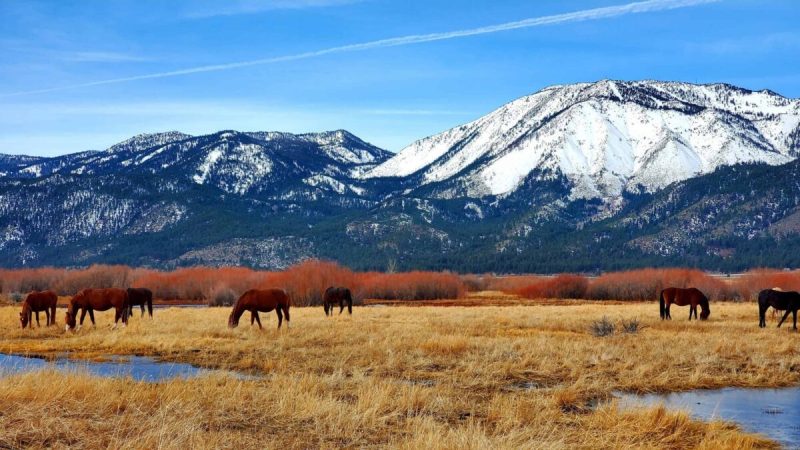 Once a territory of Mexico, Nevada’s history is flush with Spanish and Hispanic influence.