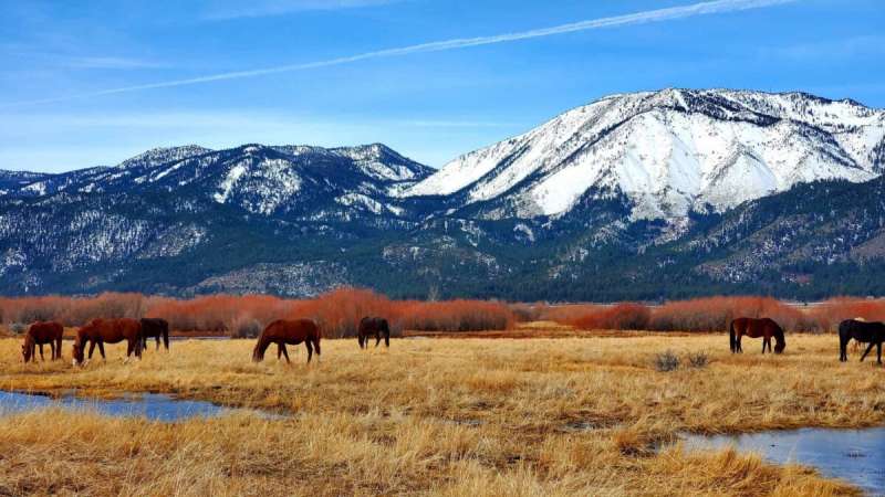 Once a territory of Mexico, Nevada’s history is flush with Spanish and Hispanic influence.