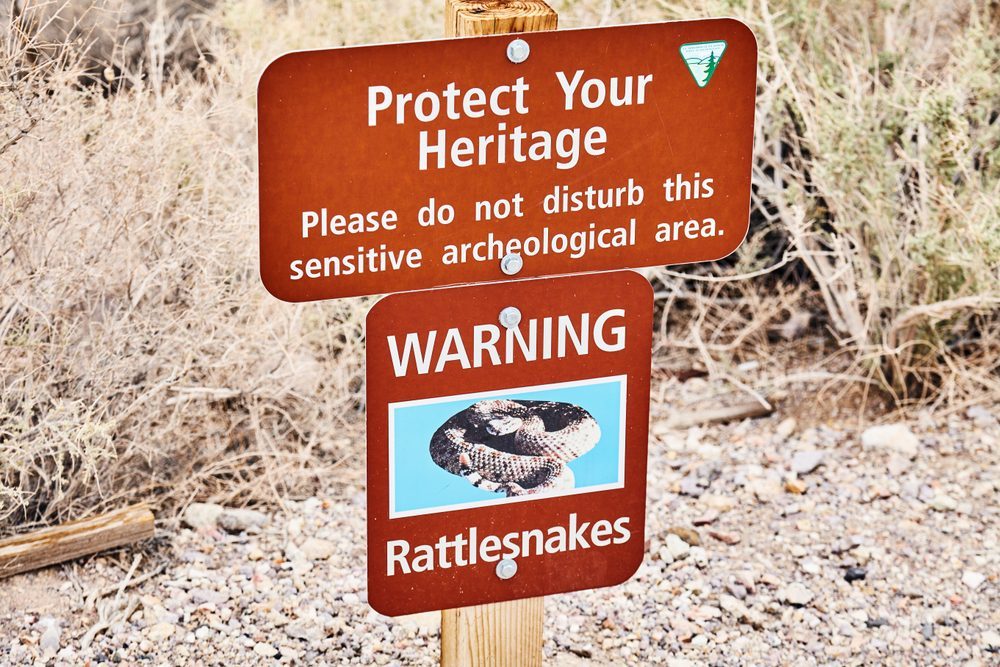 Venomous snakes Nevada hikers should watch out for this spring