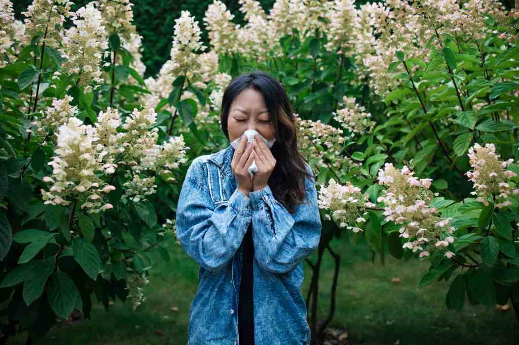 Sneezing up a storm? Here’s why Nevadans suffer from spring allergies