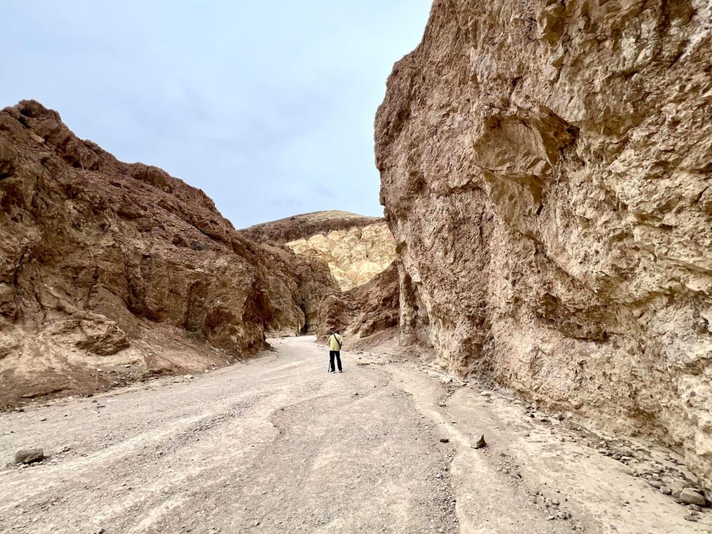 📸 Visiting Death Valley in the summer?