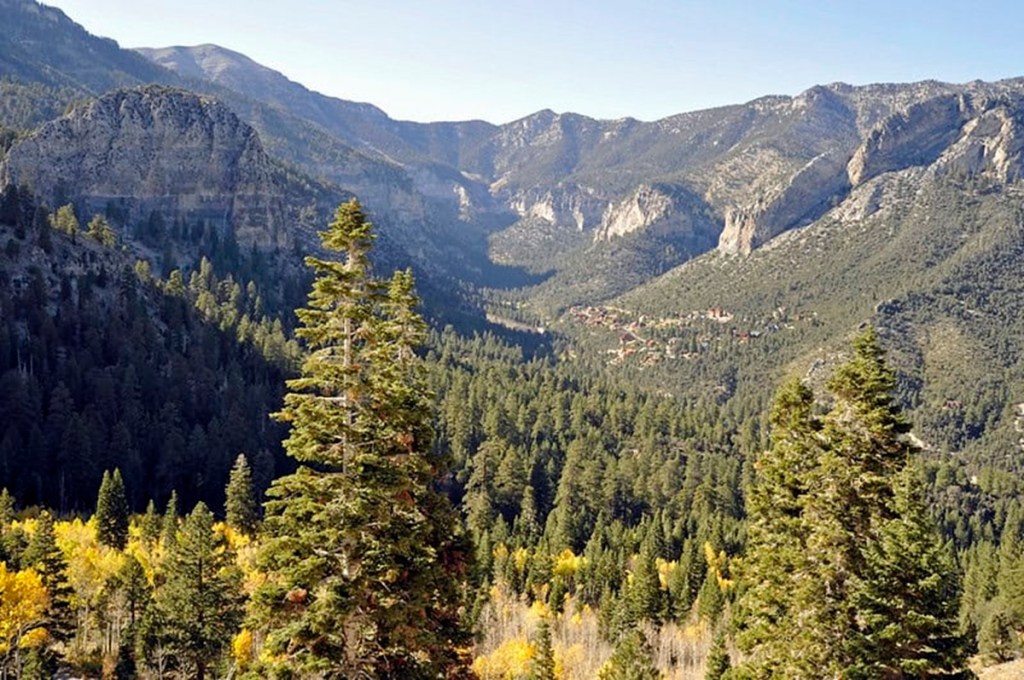 Escape the heat with a weekend trip to Mount Charleston