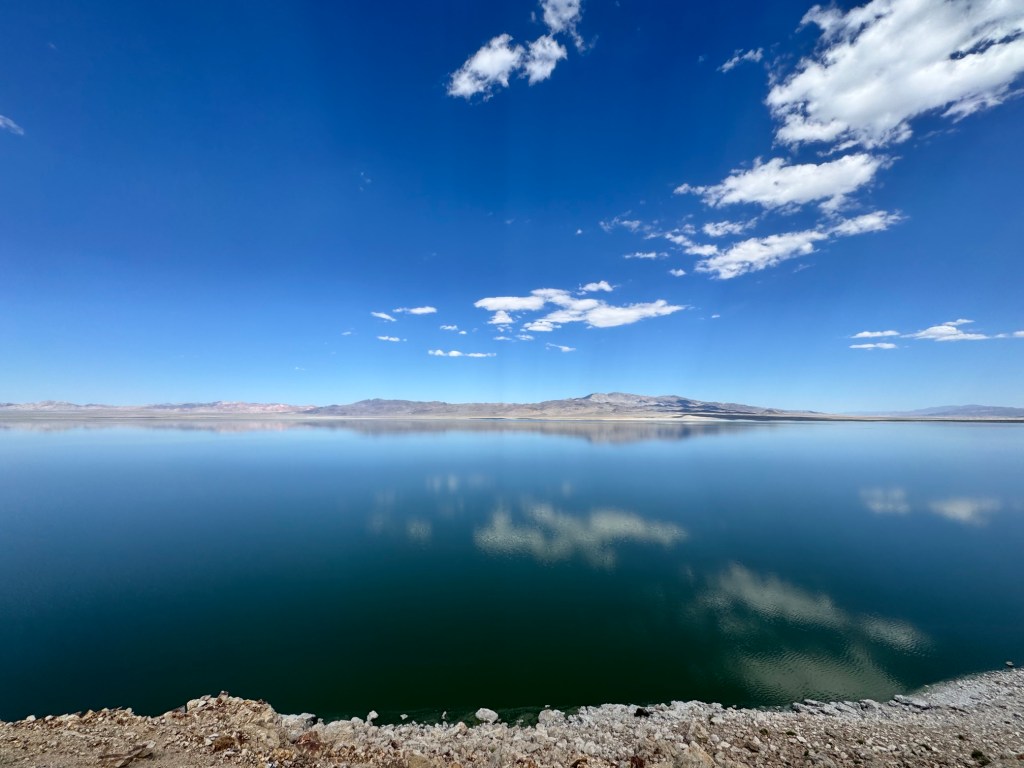 🐟 Where have Walker Lake’s fish gone?