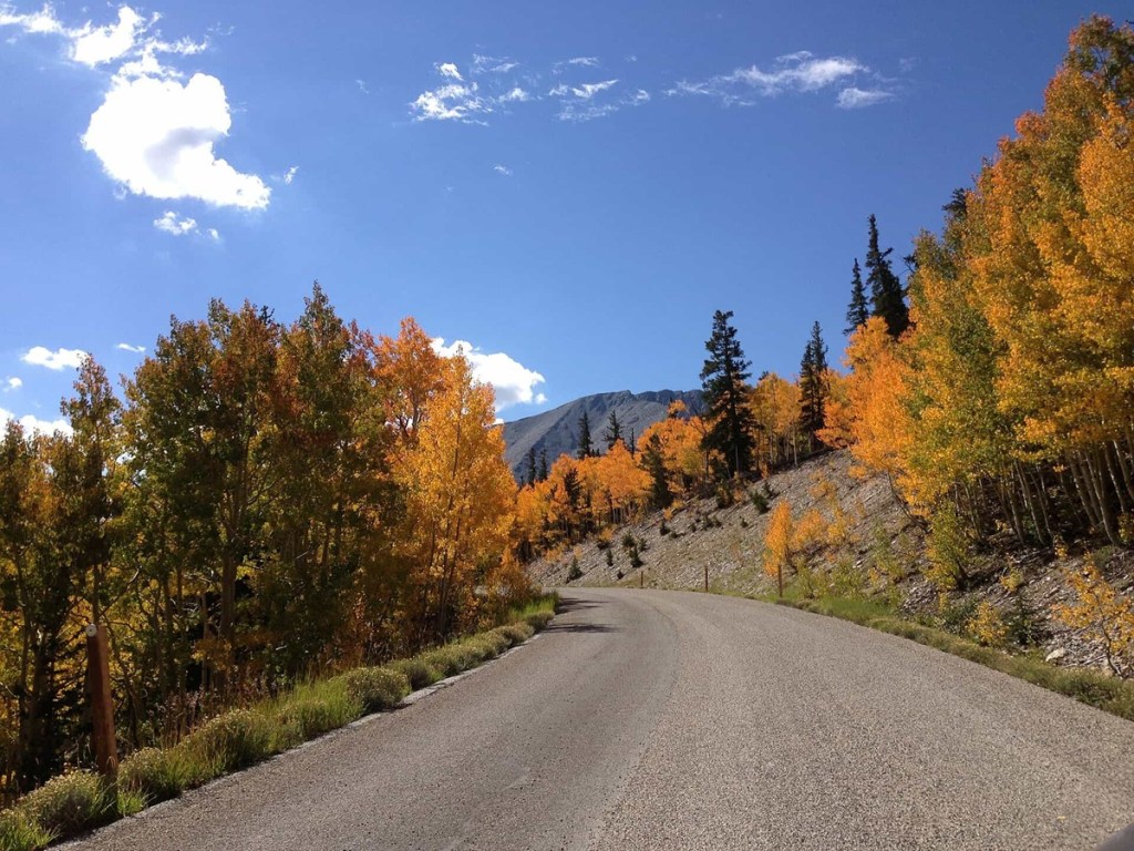 leaf peeping in Nevada