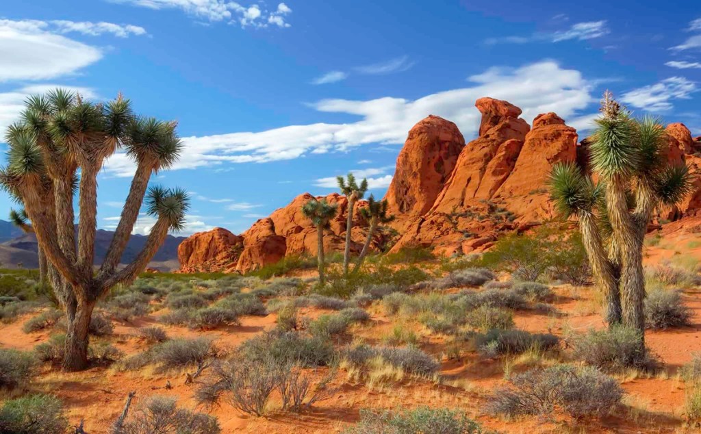 Hiking in Gold Butte National Monument is one of many fun October activities in Nevada