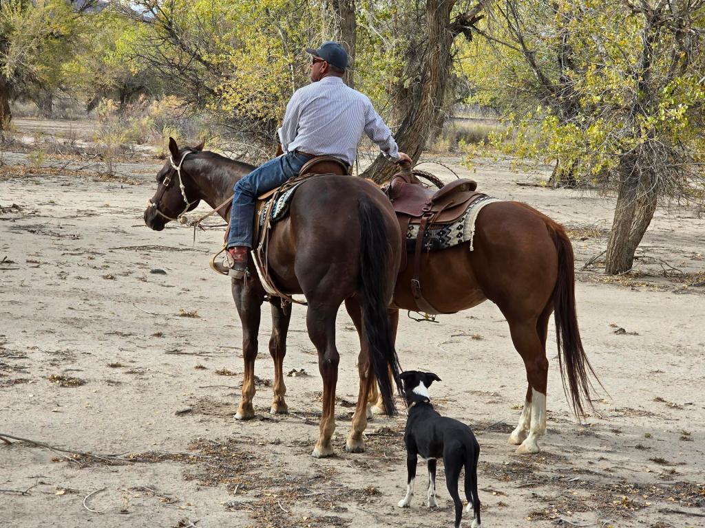 👀 Must-do October activities in Nevada